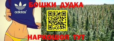 шишки Кингисепп