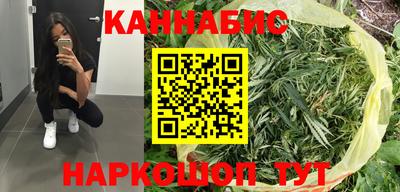 шишки Кингисепп