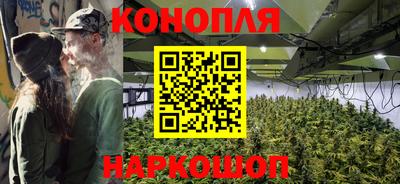 шишки Кингисепп