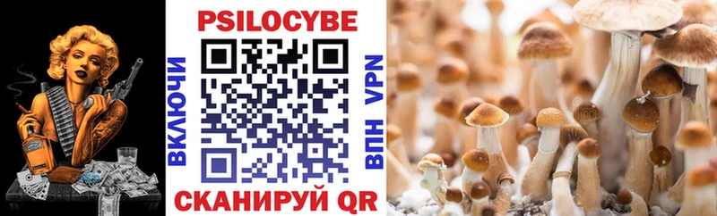 Псилоцибиновые грибы GOLDEN TEACHER  Гусь-Хрустальный 