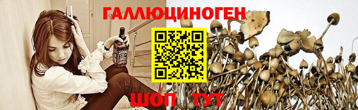 Гусь-Хрустальный  Галлюциногенные грибы ЛСД  Галлюциногенные грибы прущие грибы  Вход с VPN 