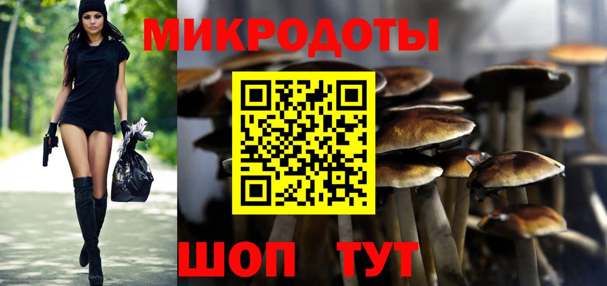 Галлюциногенные грибы Cubensis Гусь-Хрустальный
